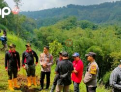 Giat Menghijaukan Hutan Kembali, Polres Batu,TNI dan Lainya Menanam Bibit Pinus