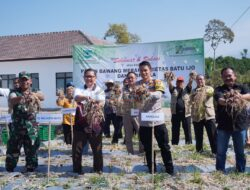 Panen Bawang Merah Varietas Batu Ijo Dan Ikan Nila, Untuk Ketahanan Pangan Dan Pengendalian Inflasi