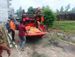 Tim SAR Gabungan Temukan Jasad Muhammad Safari Siregar yang Hanyut di Sungai Silau Asahan