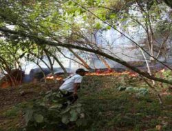 Perkembangan Situasi dan Penanganan Bencana 11 Juli 2025, Karhutla Mendominasi