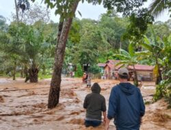 Sumut Darurat Bencana: Empat Kabupaten Diterjang Banjir dan Longsor, Ribuan Warga Butuh Bantuan Segera