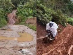 Catatan Panjang Pengabdian di Tengah Kubangan: Viralnya Perjuangan Guru Lampung Barat Menembus Jalan Berlumpur