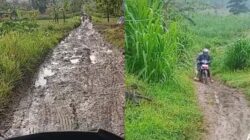 Cuplikan video dari TikTok @bu_guru_nieng_kls4 menunjukkan jalan tanah merah berlumpur dengan genangan air dan bekas roda kendaraan di Dusun Dawung, Grobogan.