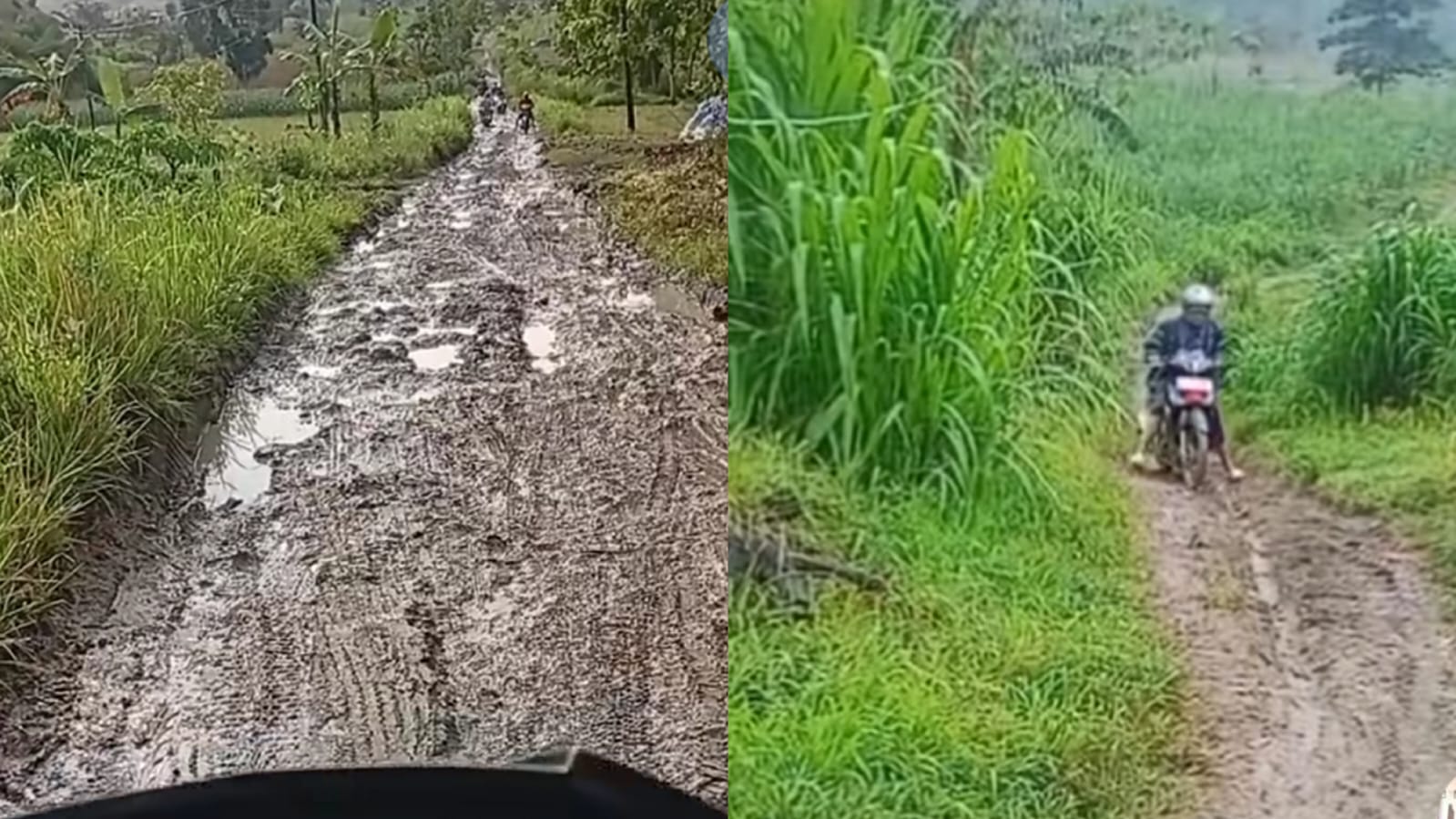 Cuplikan video dari TikTok @bu_guru_nieng_kls4 menunjukkan jalan tanah merah berlumpur dengan genangan air dan bekas roda kendaraan di Dusun Dawung, Grobogan.