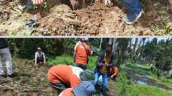 Merawat Hutan, Menuai Kopi: Cerita dari Lereng Dieng tentang Edukasi, Agroforestri, dan Gotong Royong Tiga Pilar