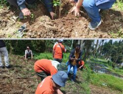Merawat Hutan, Menuai Kopi: Cerita dari Lereng Dieng tentang Edukasi, Agroforestri, dan Gotong Royong Tiga Pilar